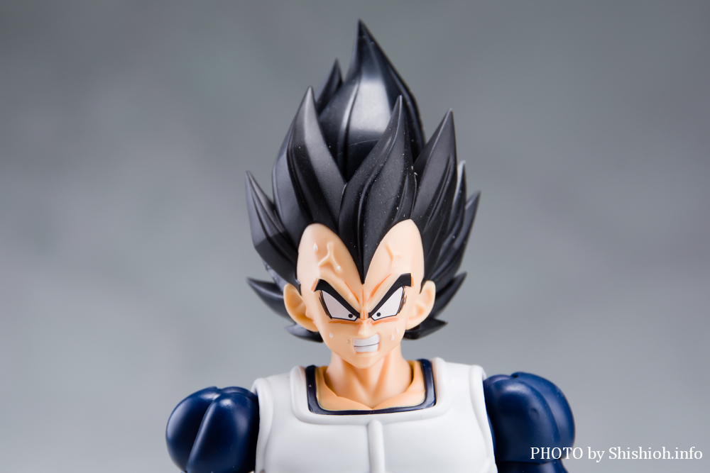 S.H.Figuarts xW[^-퓬-