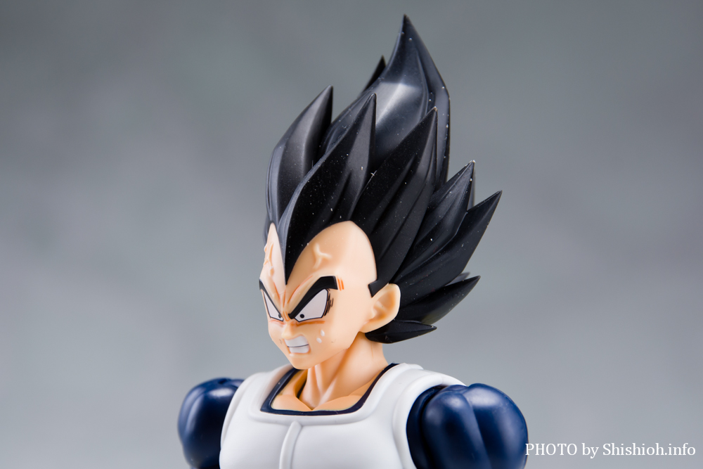 S.H.Figuarts xW[^-퓬-