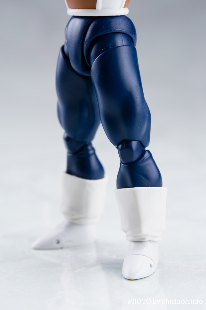 S.H.Figuarts xW[^-퓬-