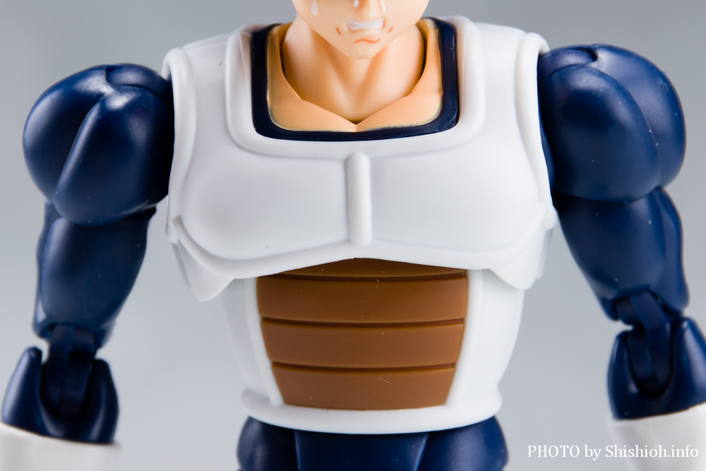 S.H.Figuarts xW[^-퓬-