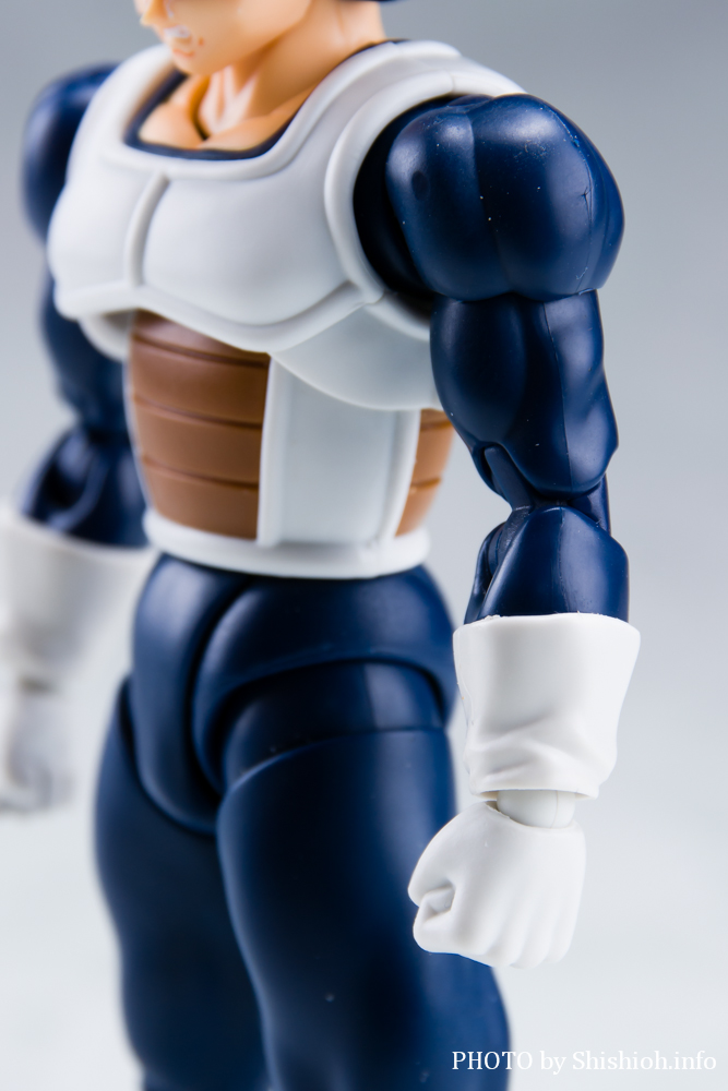 S.H.Figuarts xW[^-퓬-