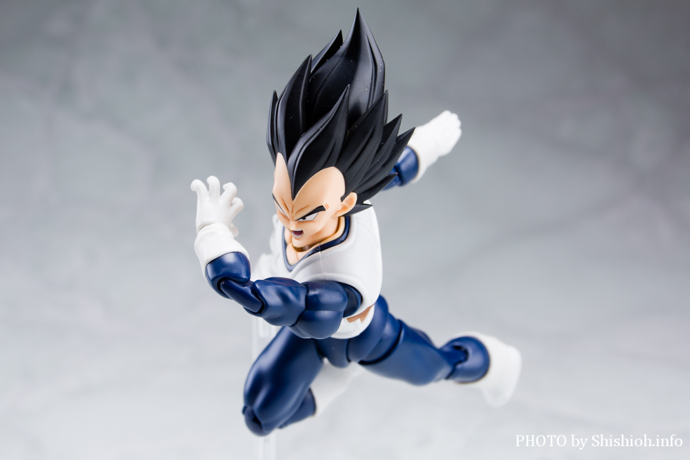 S.H.Figuarts xW[^-퓬-