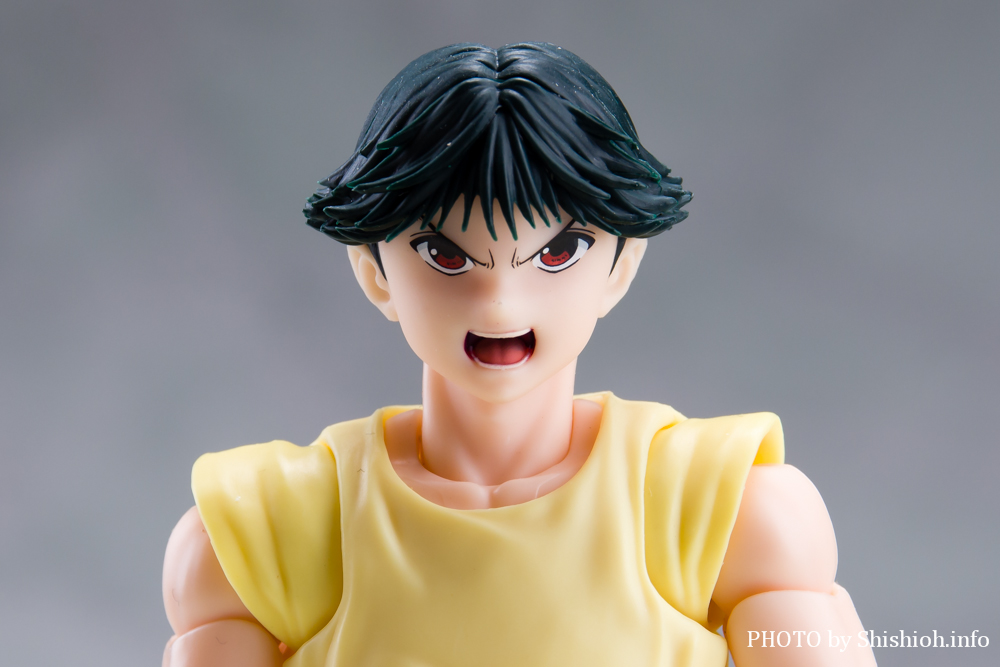 S.H.Figuarts YїH