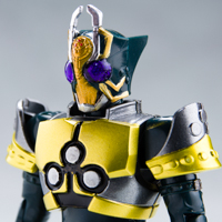 yOꃌr[zSO|DO CHRONICLE ʃC_[(ʃC_[Q)