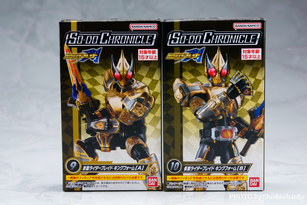 SO|DO CHRONICLE ʃC_[(ʃC_[uCh LOtH[)