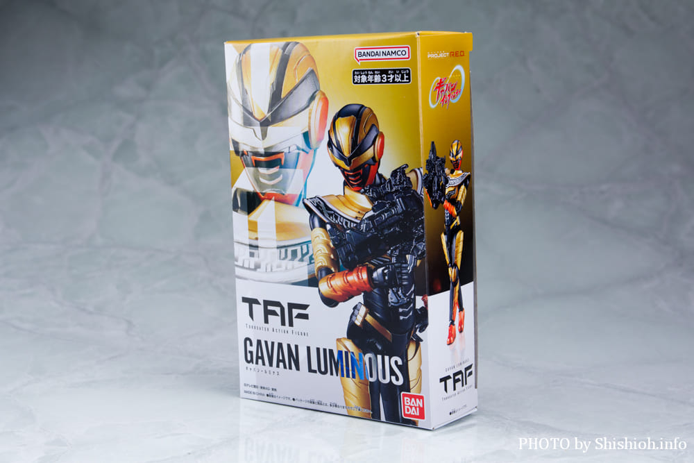 TOKUSATSU ACTION FIGURE �M���o���E���~�i�X