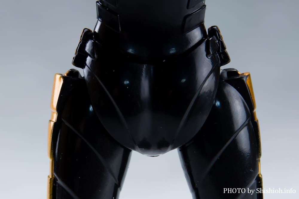 TOKUSATSU ACTION FIGURE �M���o���E���~�i�X